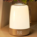 Sunrise Alarm Clock, Night Light Wake Up Light with Sunrise Simulation, Dimmable Touch Bedsides Lamp 6 RGB Colors 5 Nature Sounds for Bedrooms